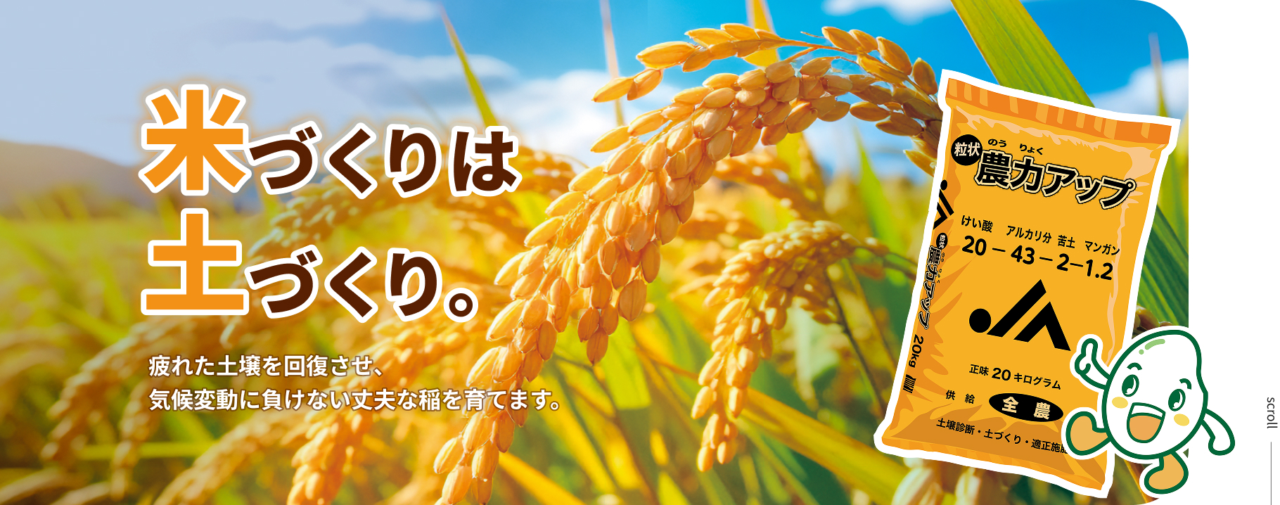 米づくりは土づくり。疲れた土壌を回復させ、気候変動に負けない丈夫な稲を育てます。