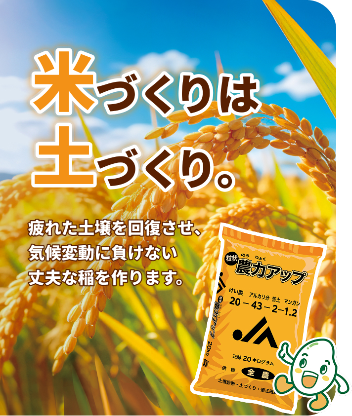 米づくりは土づくり。疲れた土壌を回復させ、気候変動に負けない丈夫な稲を育てます。